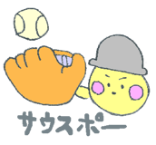 16406252