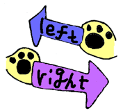 16406257