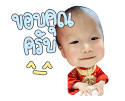 164102463