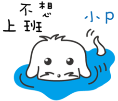 164174024