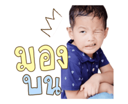 164184826