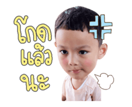 164184844