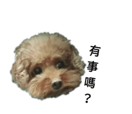 164205054