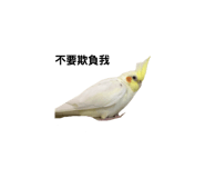 164240495