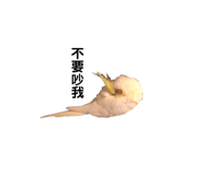 164240497