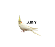 164240499