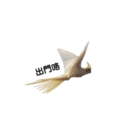 164240500