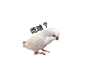 164240501