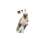 164240503
