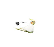 164240504