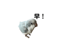 164240506