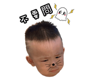 164302542
