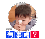 164306012