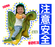 164306024