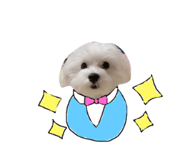 164336953