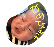 164356574