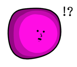 16447246