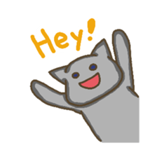 1645126
