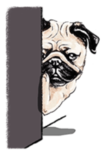 16452564