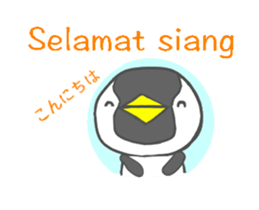 16453531