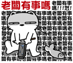 16458331