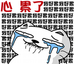 16458354