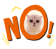 164638233