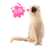 164638258