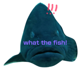 164710671