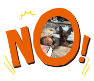 164744192