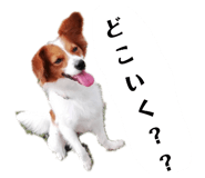 164789633