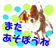 164789634