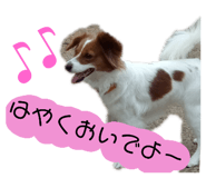 164789645