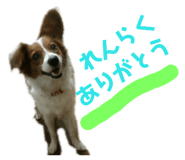 164789647