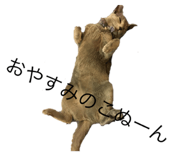 165018265