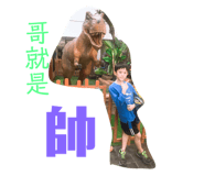 165020490