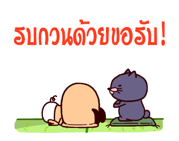 PANPAKA PANTS ใช้งานง่ายใช้ได้ทุกวัน! รูปที่ 7