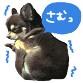 165052376