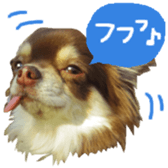 165052377