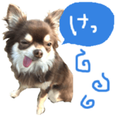 165052379