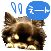 165052383