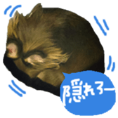 165052388