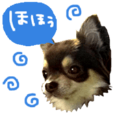 165052389