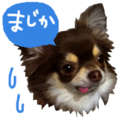 165052390