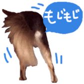 165052395
