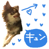 165052396