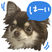 165052397