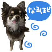 165052398