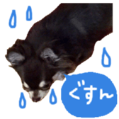 165052400