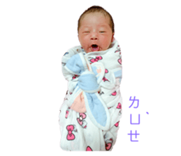 165060544
